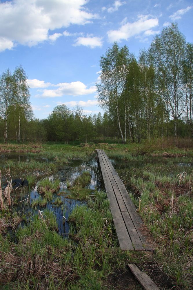 Photograph by Сергей Слукин