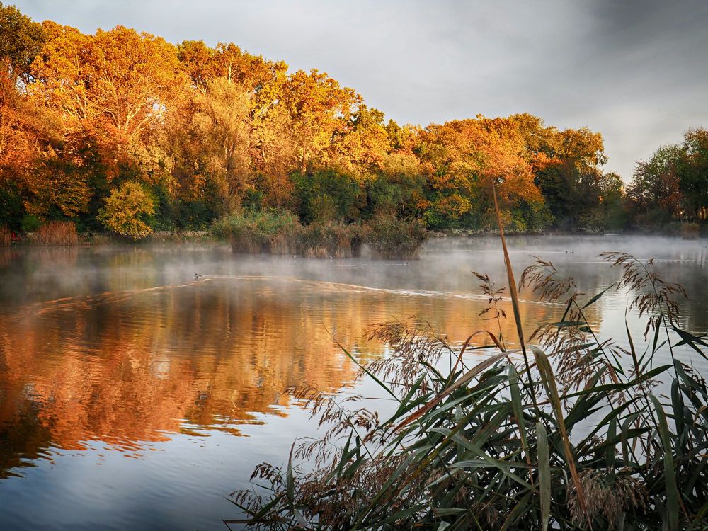 Photograph by Eperjessy Adrian