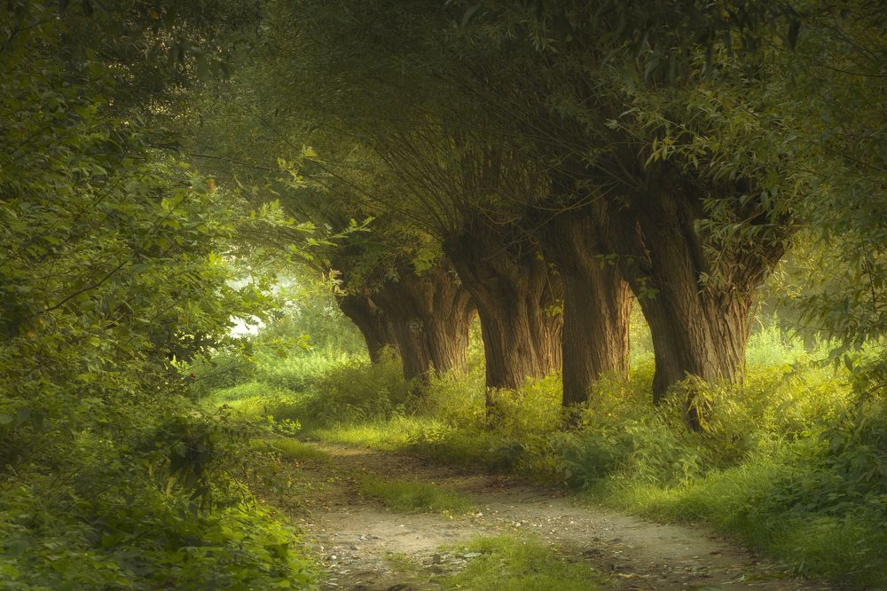 Photograph by Damian Cyfka