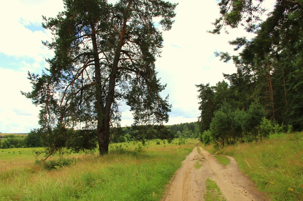 Photograph by Жанна Нечаева