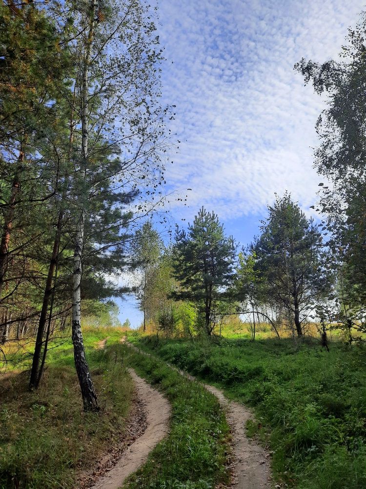 Photograph by Жанна Нечаева