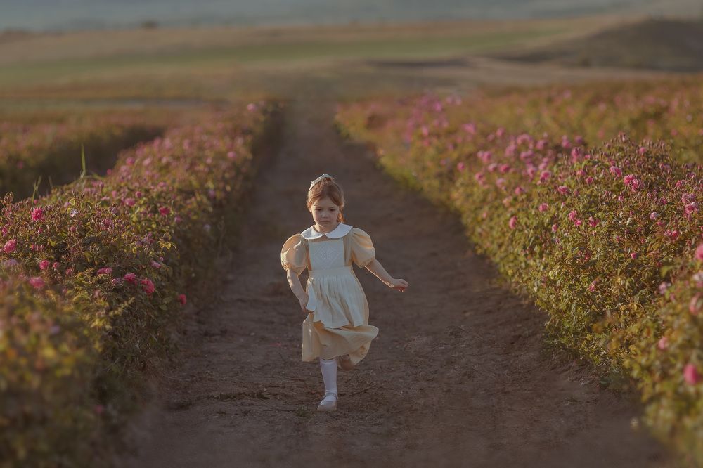 Свидание в розах