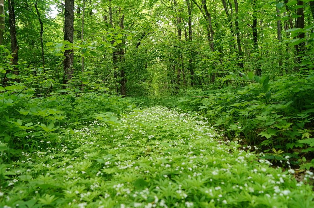 Photograph by Максим Рыжов