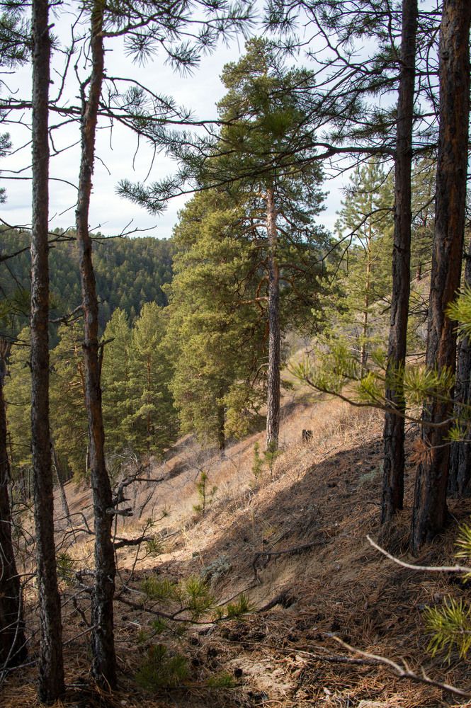 Photograph by Alexandr Myasnikov