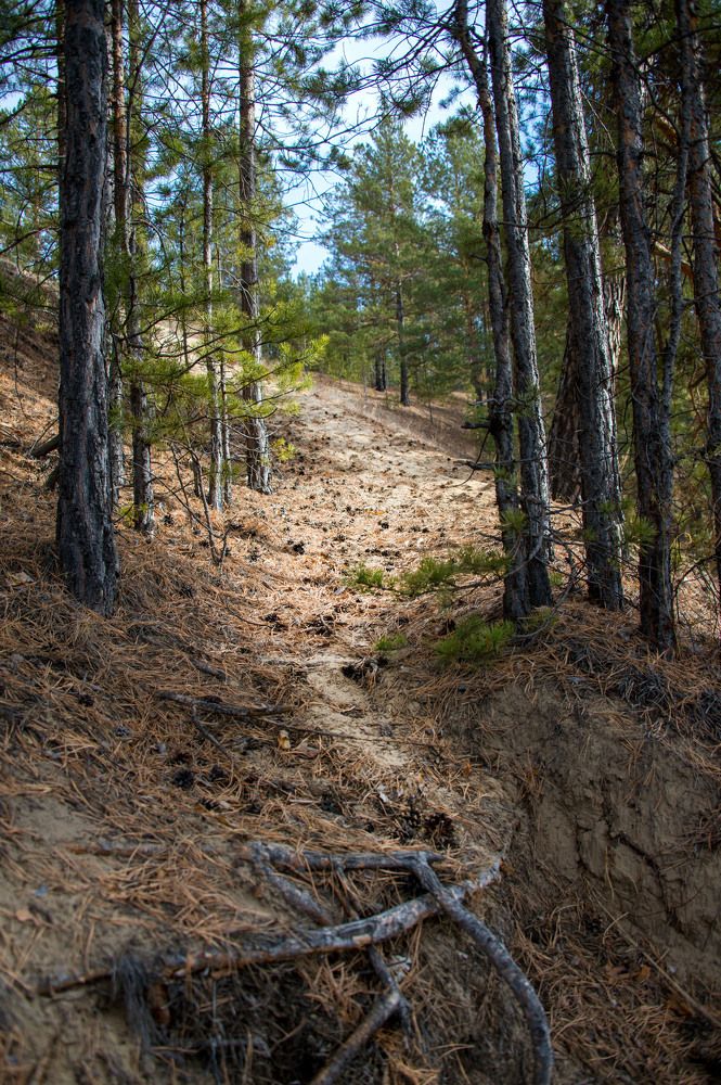 Photograph by Alexandr Myasnikov