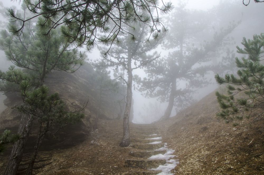 Photograph by Юрий Юрченко