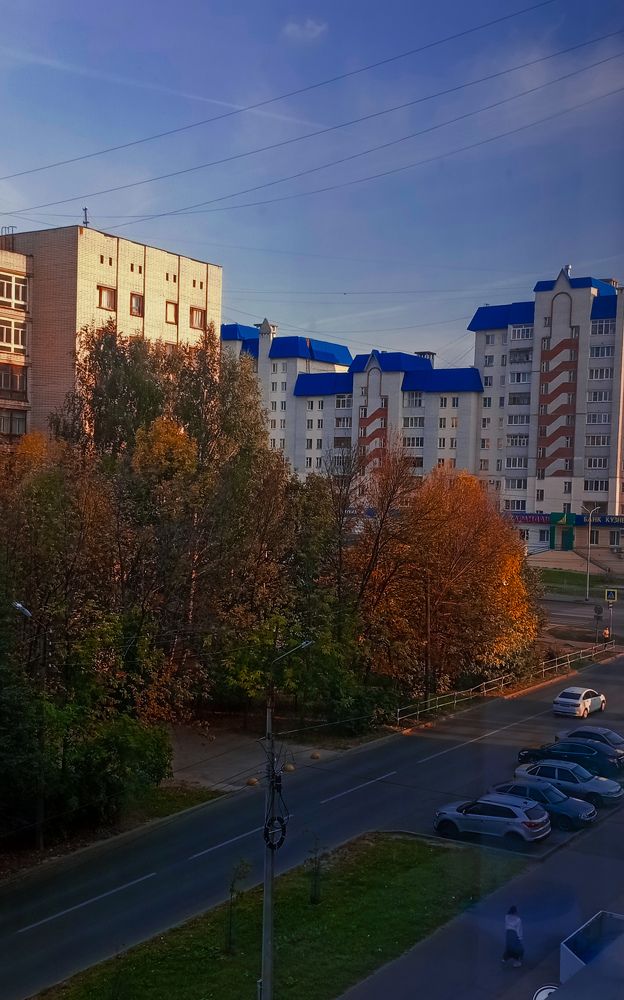 Photo #11243835