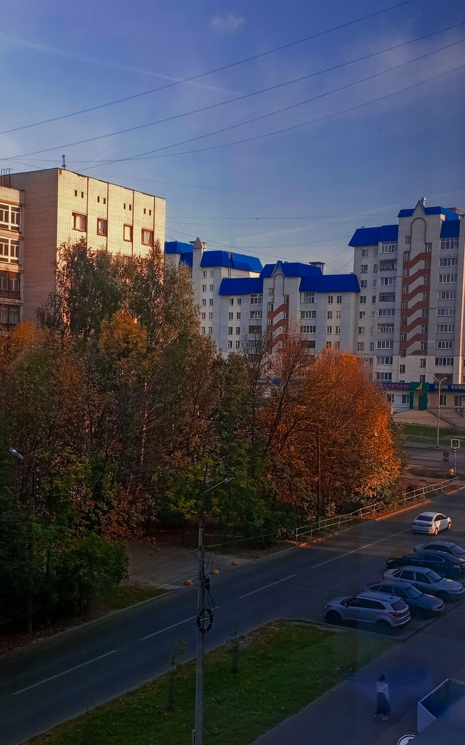 Photo #11243835