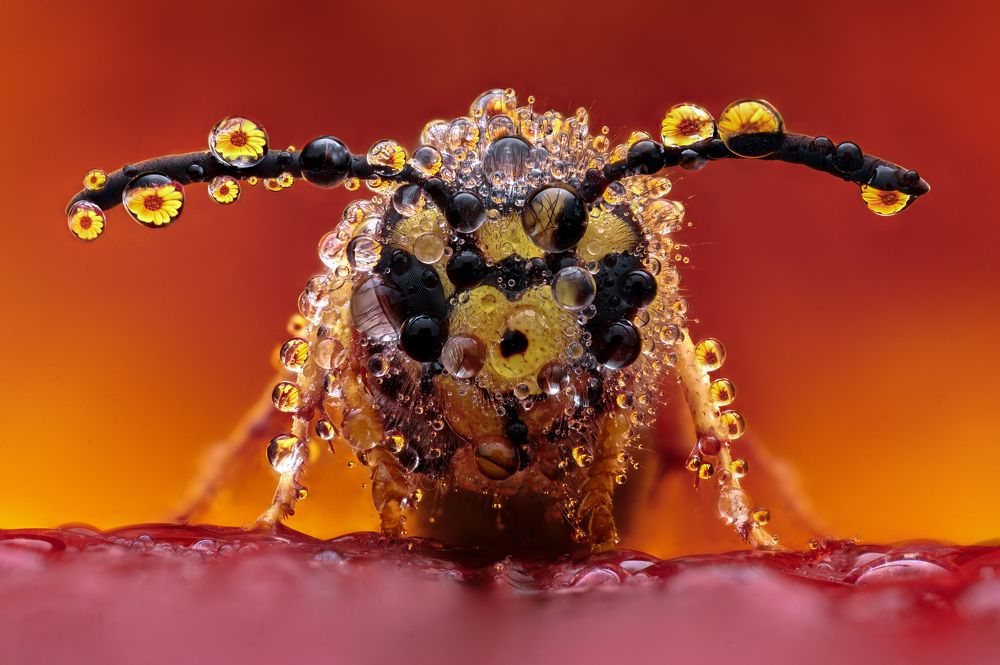 Photograph by Цветан Ганев