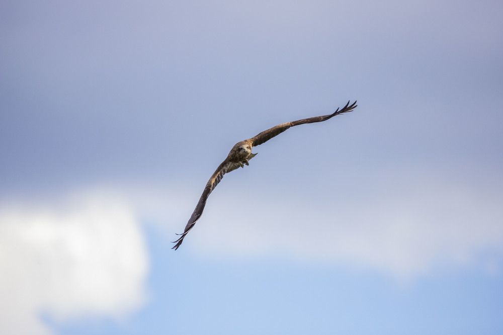 Photograph by Елена Перминова