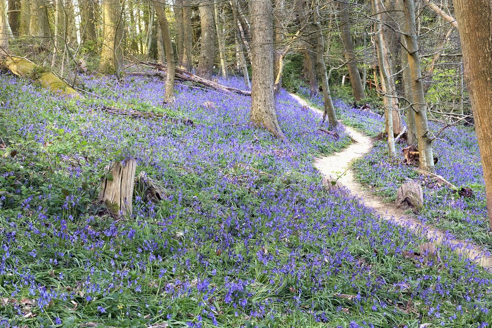 Photograph by Tatiana Serova