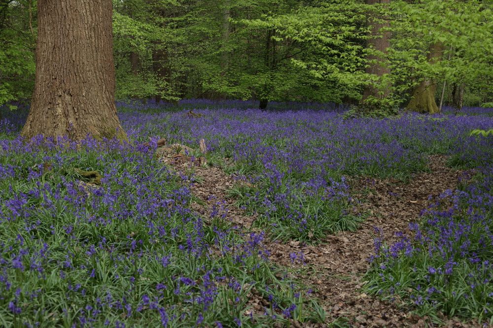 Photograph by Tatiana Serova