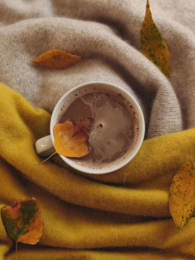 Photograph by Анна Голубцова