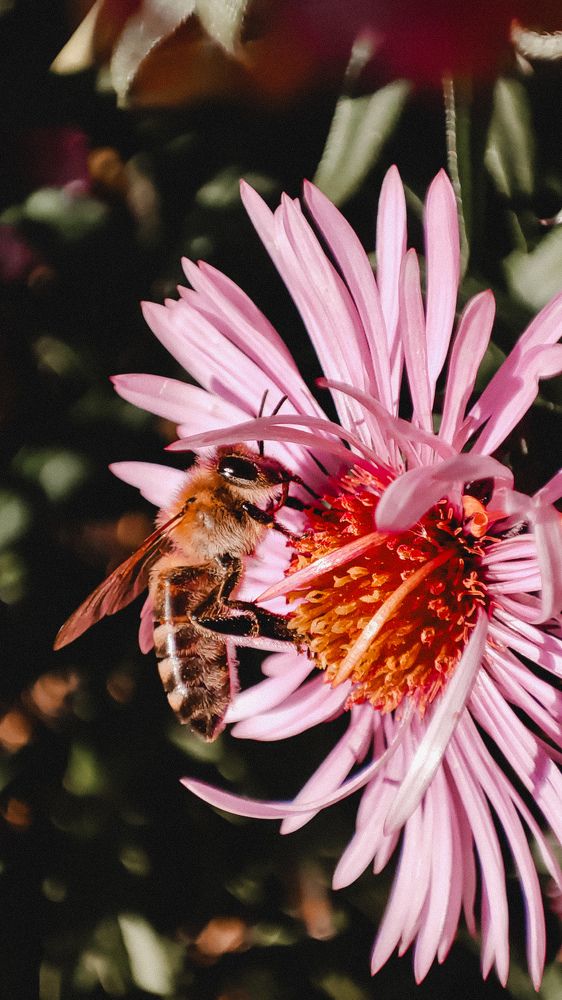Photograph by Глушакова Татьяна Николаевна