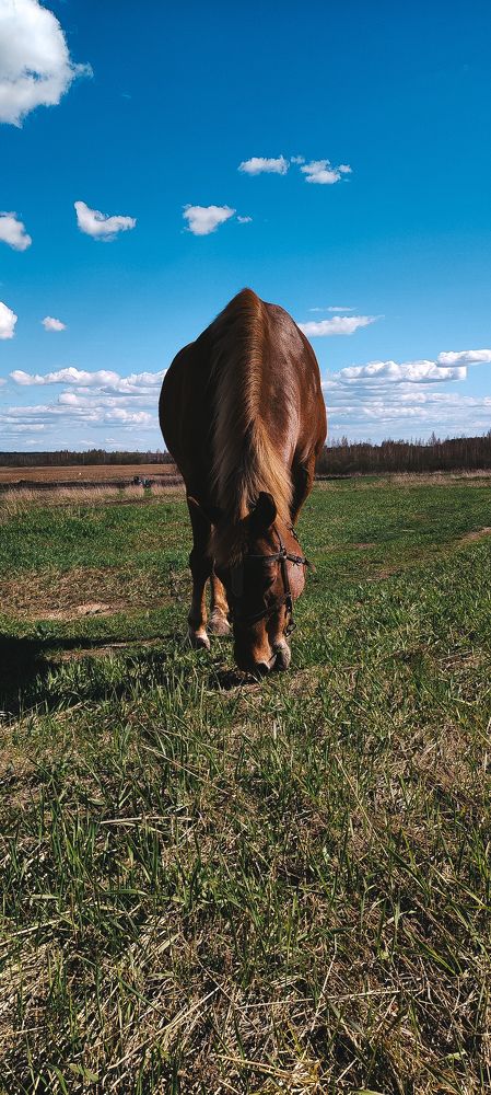 Photograph by Глушакова Татьяна Николаевна