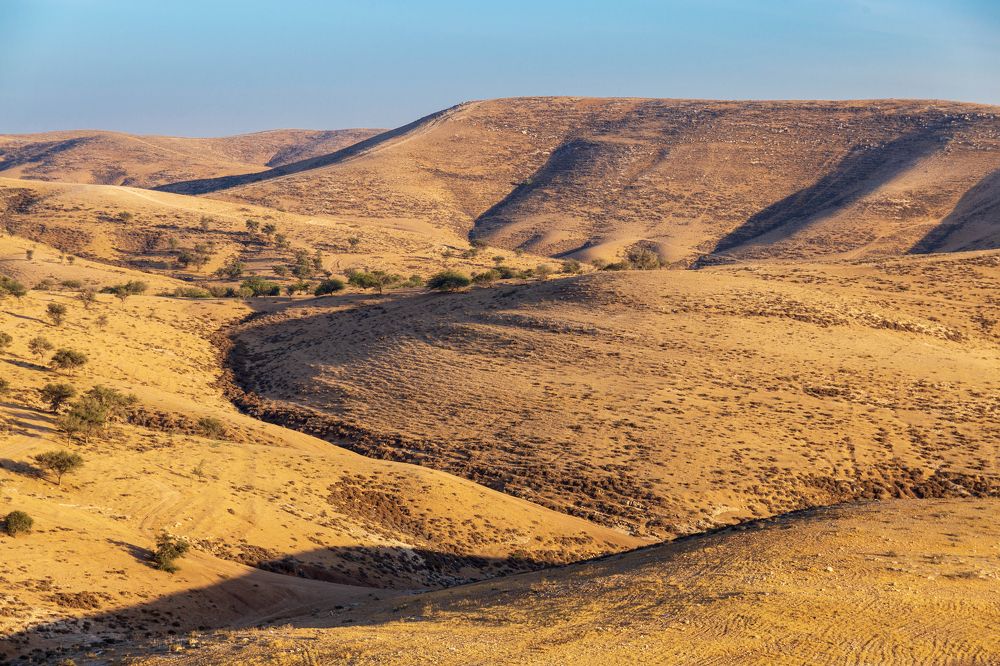 Photograph by ZOYA EL