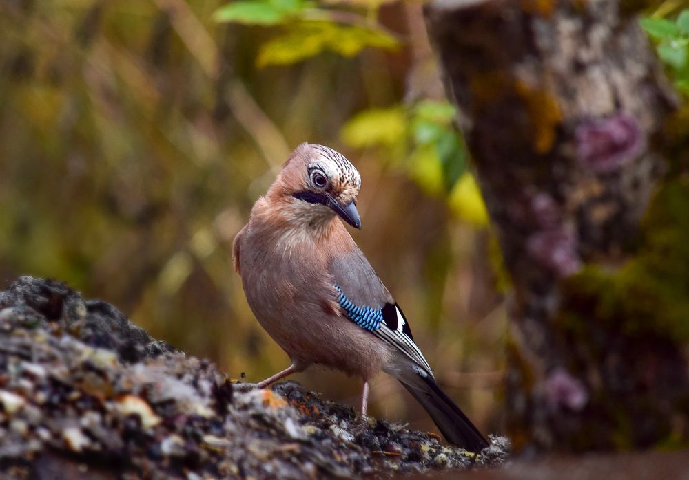Фотография автора Оксана Льдинина