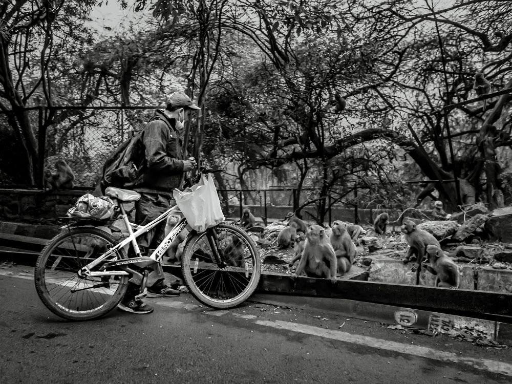 Фотография автора savitri Rawat