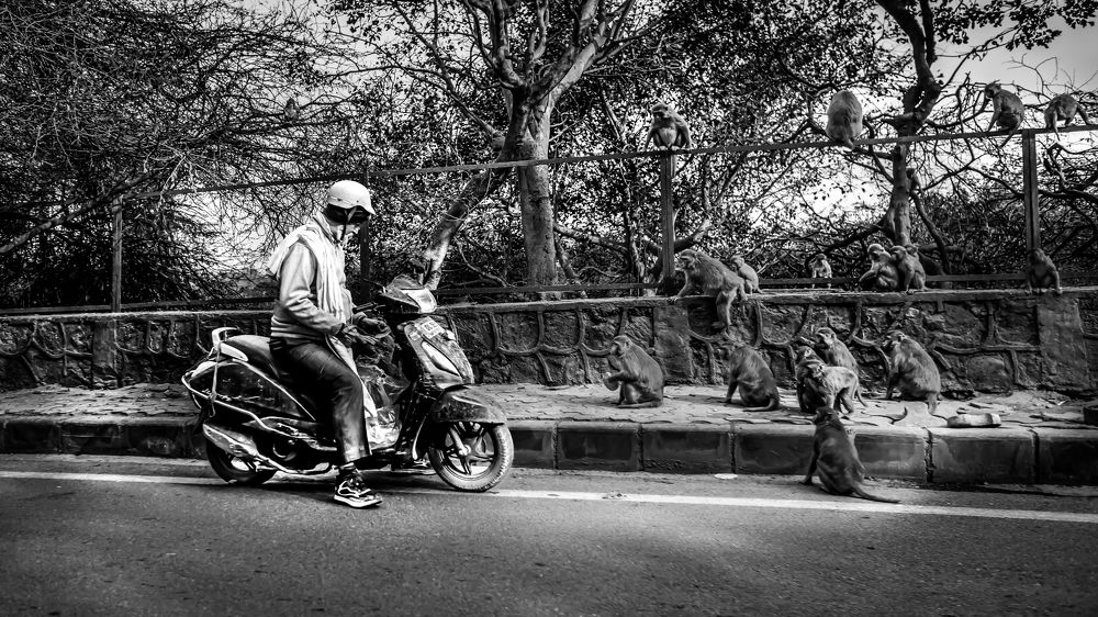 Фотография автора savitri Rawat