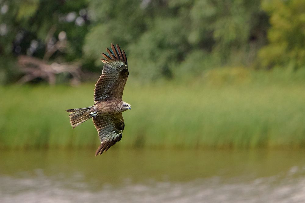 Photograph by Фатыхов Динар