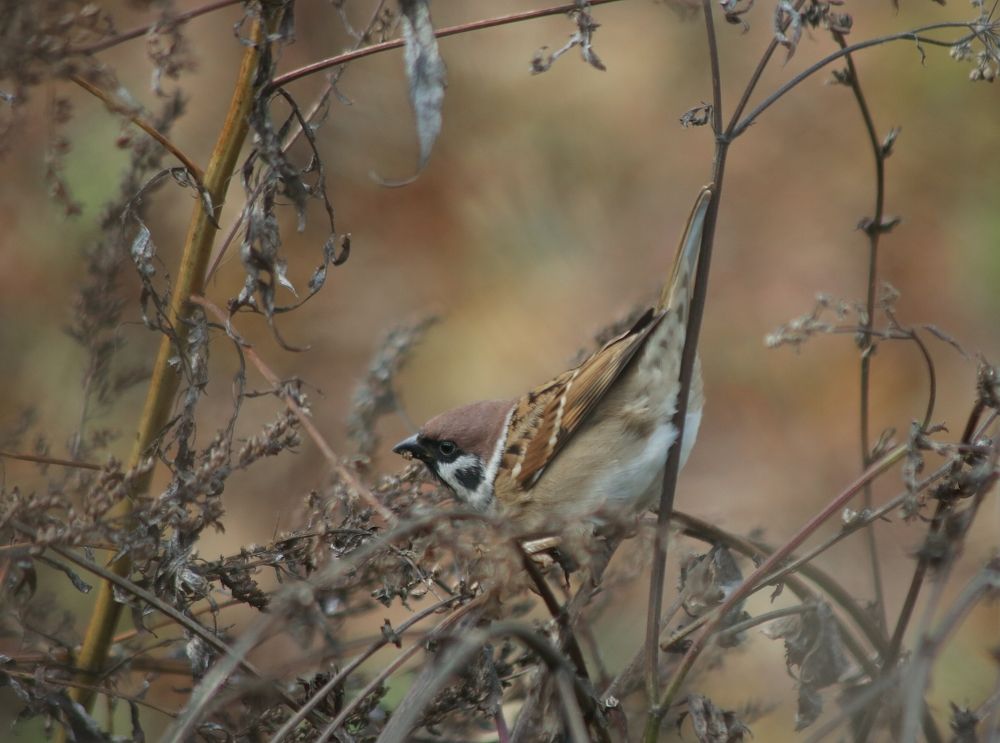 Photograph by Дмитрий Фетисов