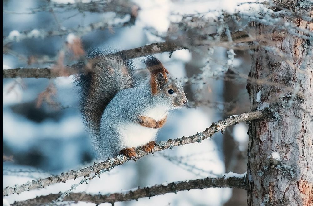 Photograph by Marina Ivanova