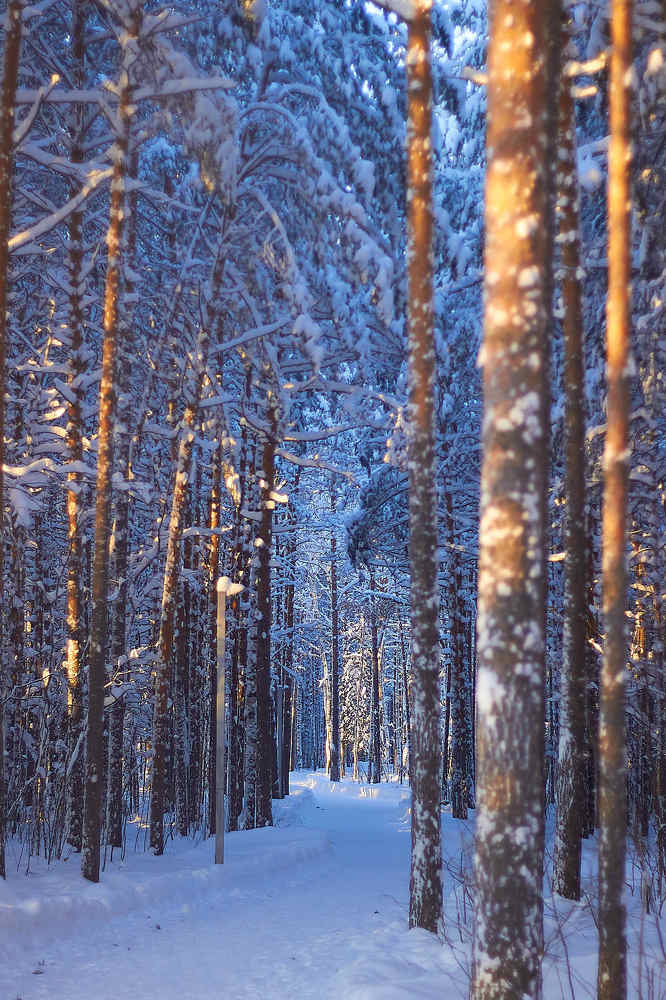 Photograph by Наталья Шевелева