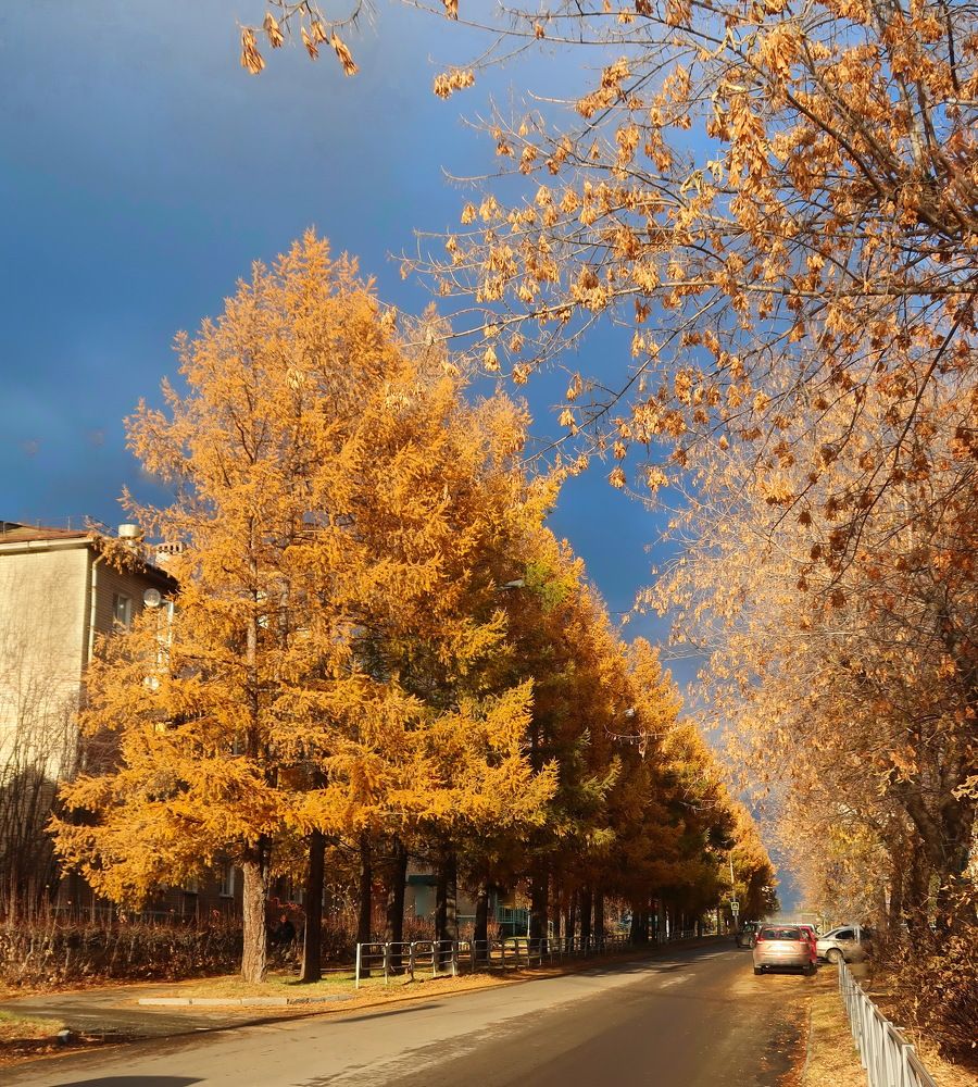 Photograph by Нина