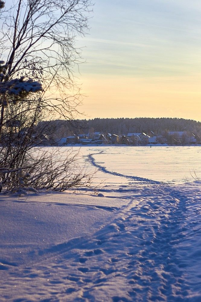 Photograph by Наталья Шевелева