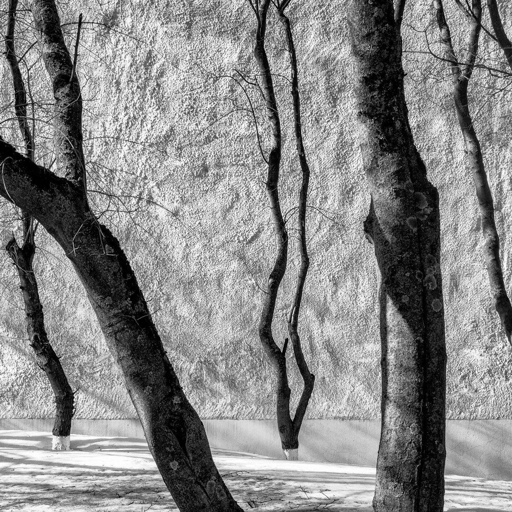 Photograph by Сергей Пестерев