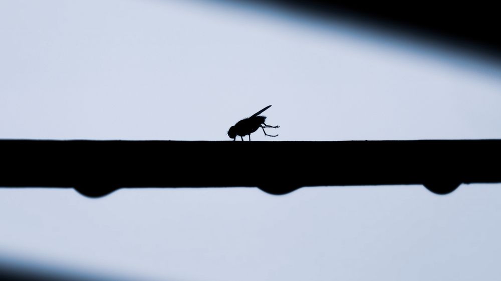 Photograph by John britto