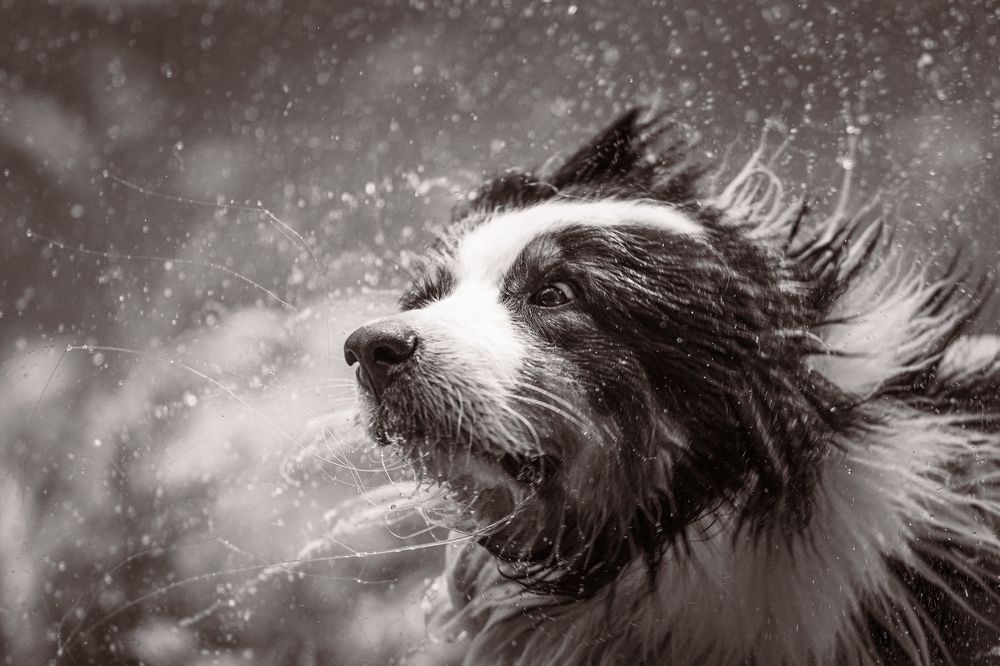 Photograph by Dmitry Ishniyazov