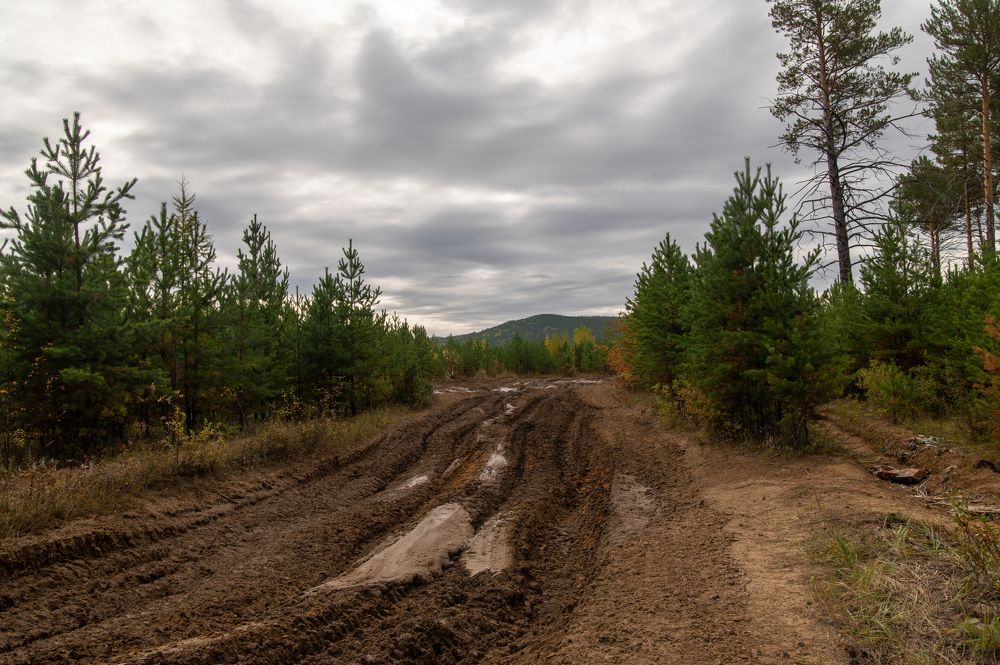 Photograph by Алексей Александрович