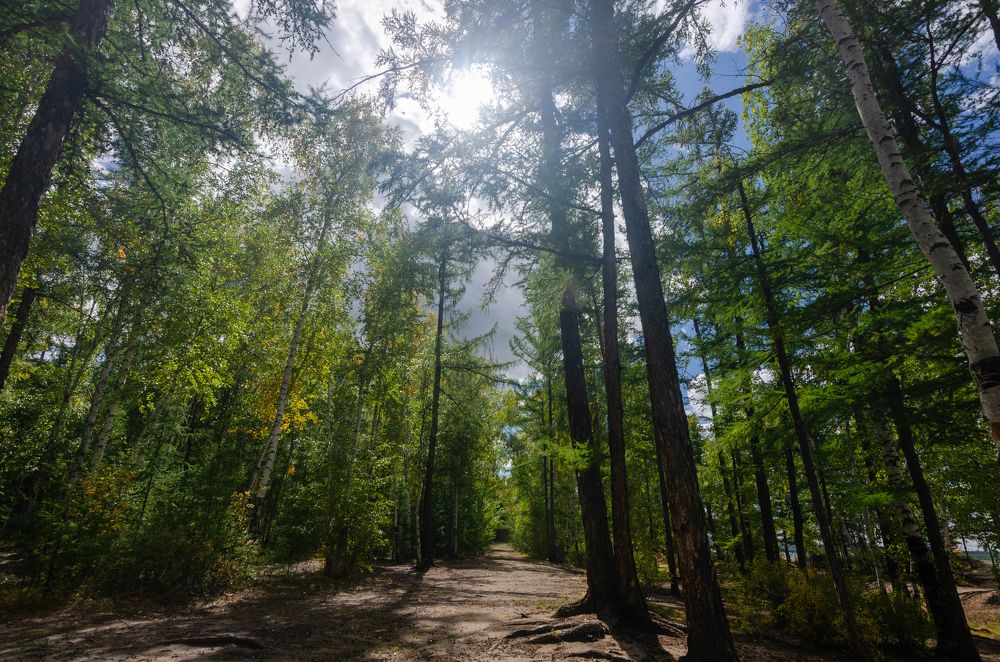 Photograph by Алексей Александрович