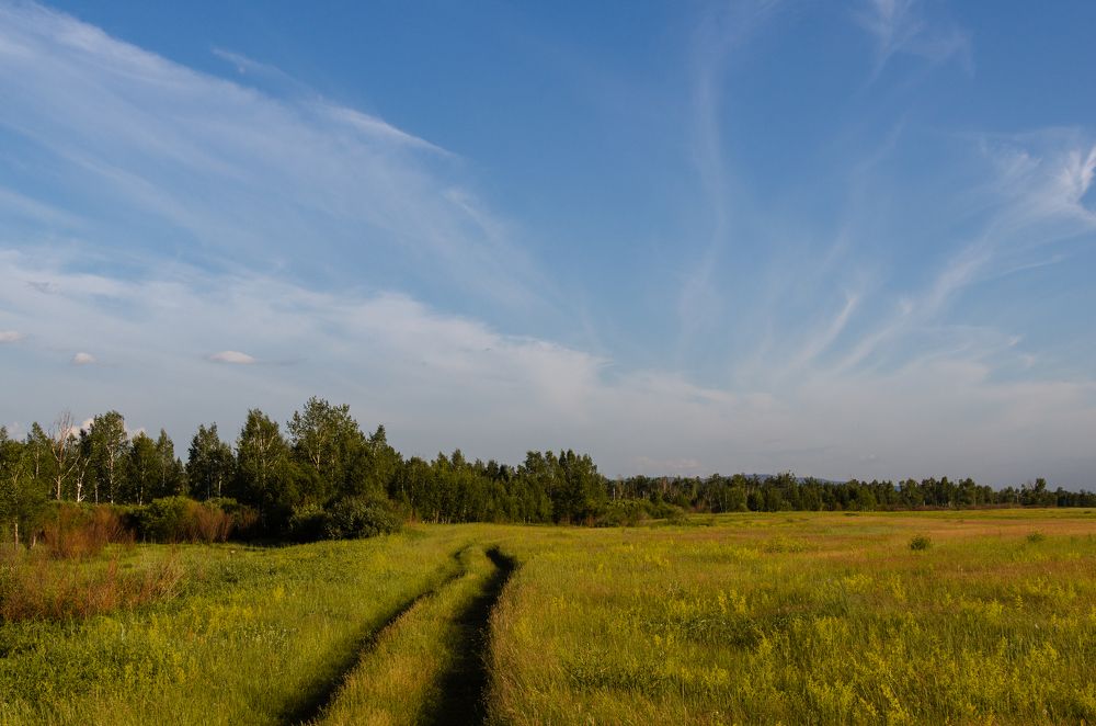 Photograph by Алексей Александрович