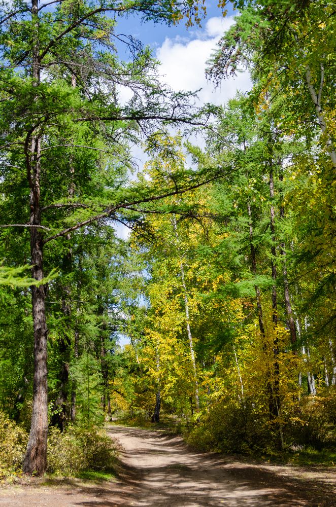 Photograph by Алексей Александрович