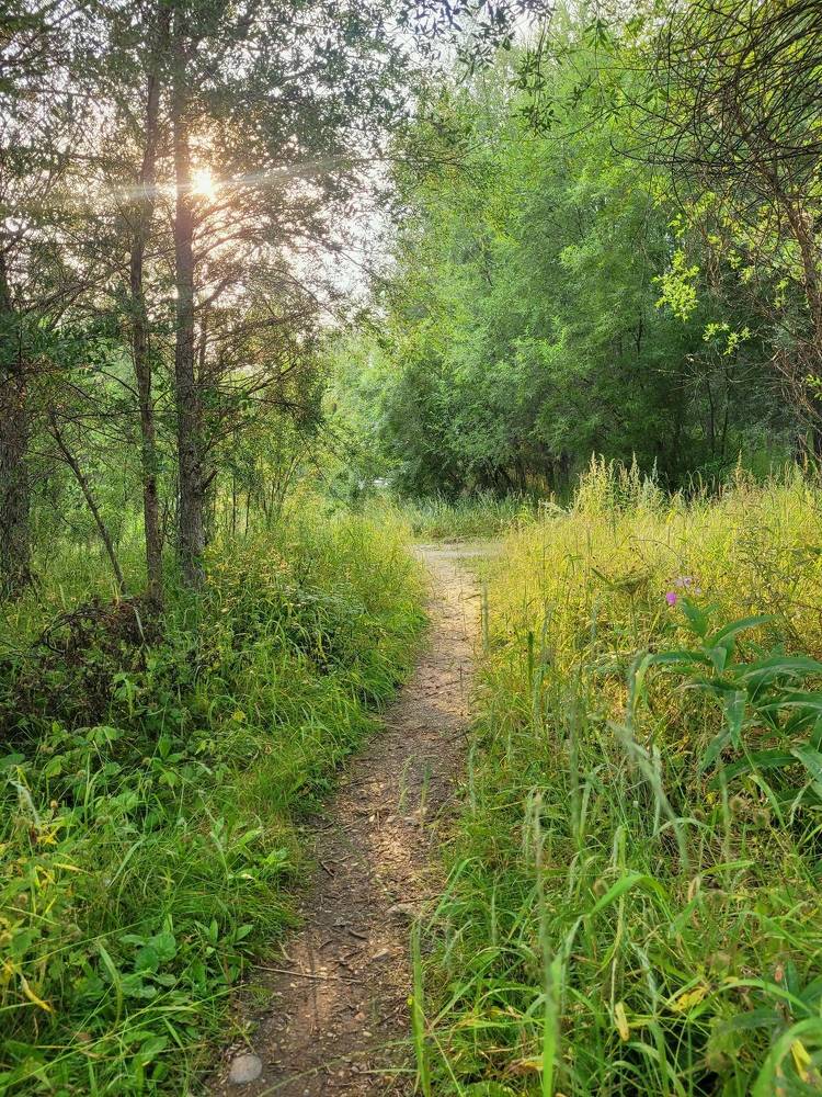 Фотография автора Казакова Людмила Ивановна