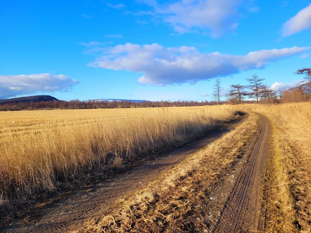 Фотография автора Казакова Людмила Ивановна