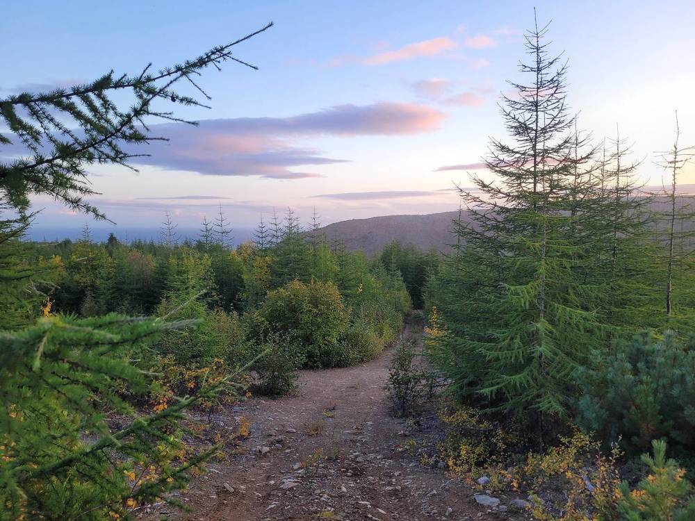 Фотография автора Казакова Людмила Ивановна