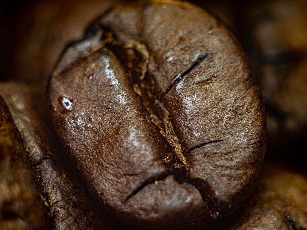 Photograph by Дмитрий Давидов