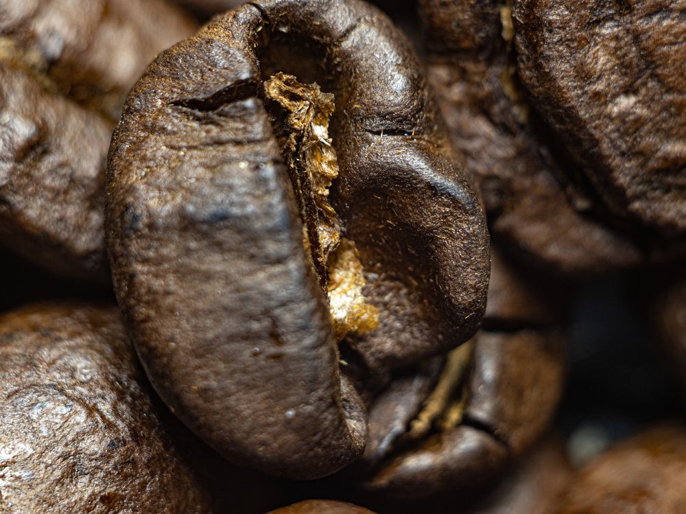 Photograph by Дмитрий Давидов