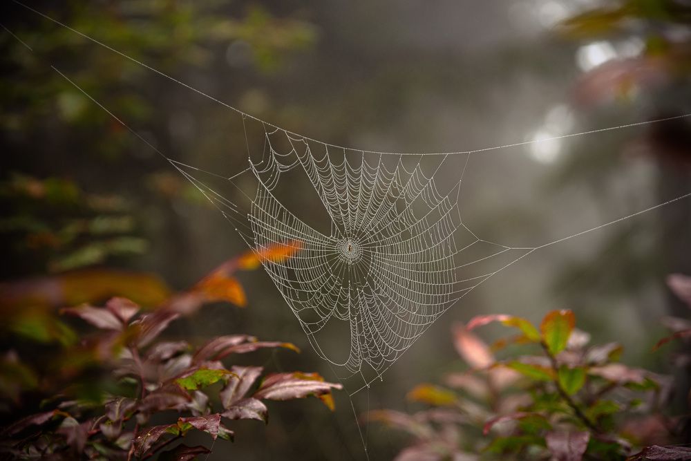 Photograph by Рагинская Ольга