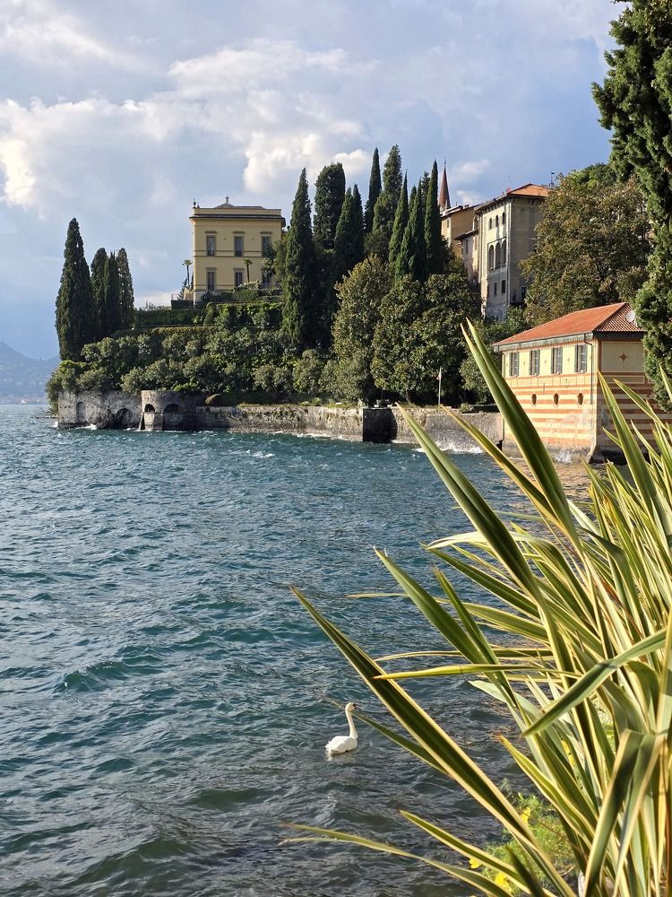 Photograph by Costin Gligor