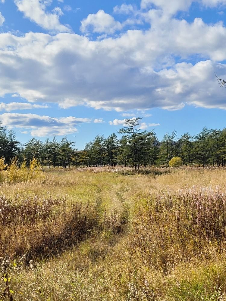 Фотография автора Казакова Людмила Ивановна