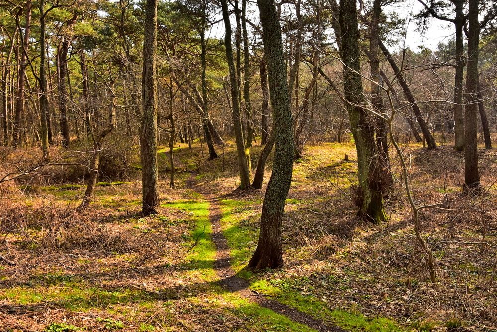 Photograph by Ирина Алексеева