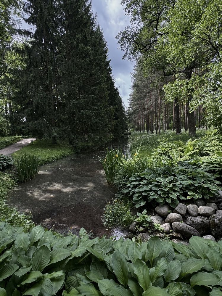 Photograph by Zhanna Kolesnikova