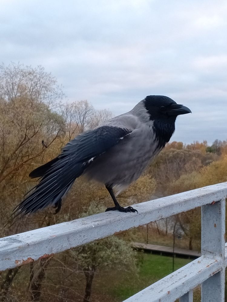 Photograph by Анастасия Пухова