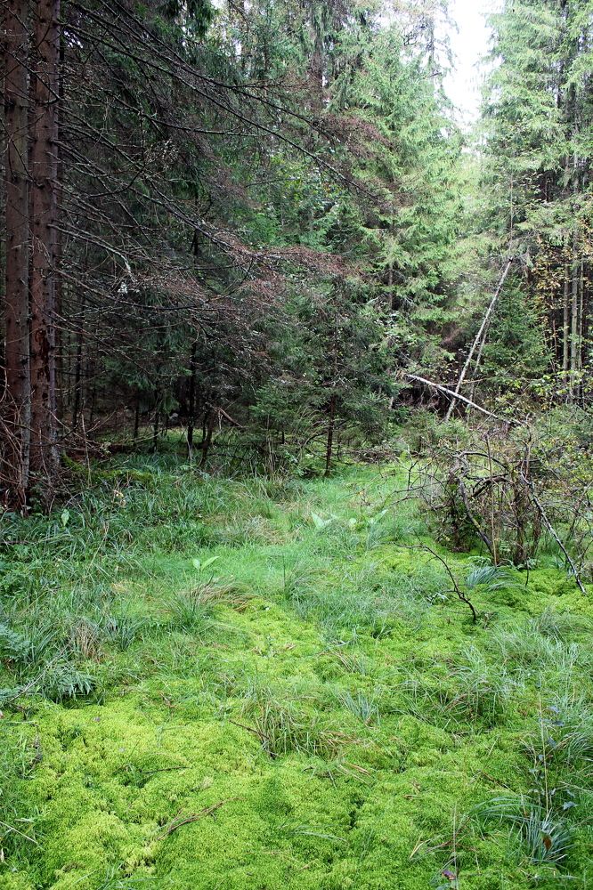 Photograph by Александр Бугаенко