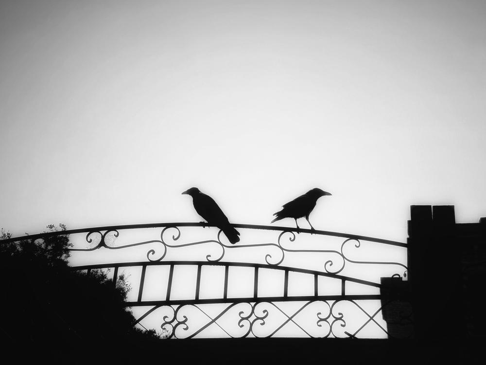 Photograph by Moamen Khaled