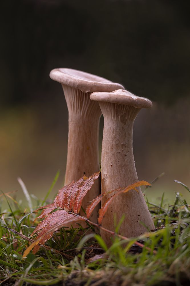 Photograph by Бурикова Екатерина